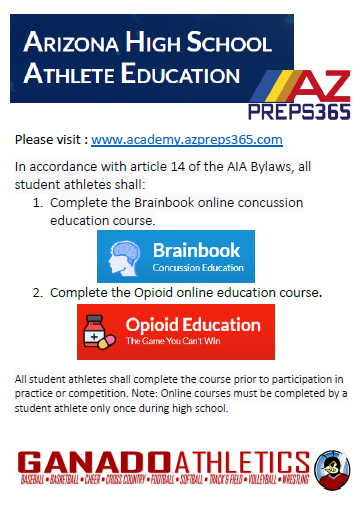 Concussion and Opioid Education Flyer